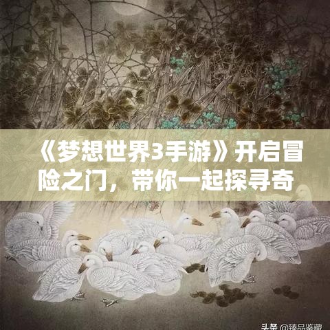 《梦想世界3手游》开启冒险之门，带你一起探寻奇幻土地的奥秘—新手快速上手攻略